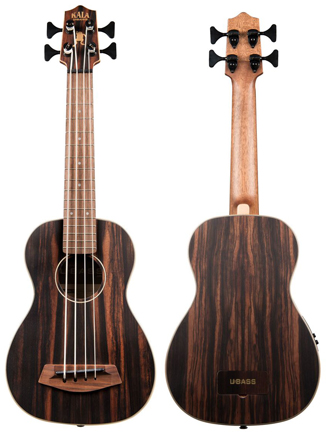 Acoustic Electric Basses