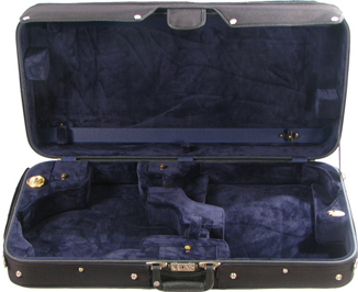 Mandolin Cases